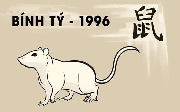 hướng dẫn cách chọn biển số xe đẹp hợp tuổi bính tý 1996